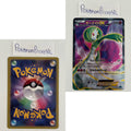 Cruel Traitor Set (XY11) (Japanese) / 001/054 - 059/054 / 2016 / PROXY Pokémon TCG card(s)