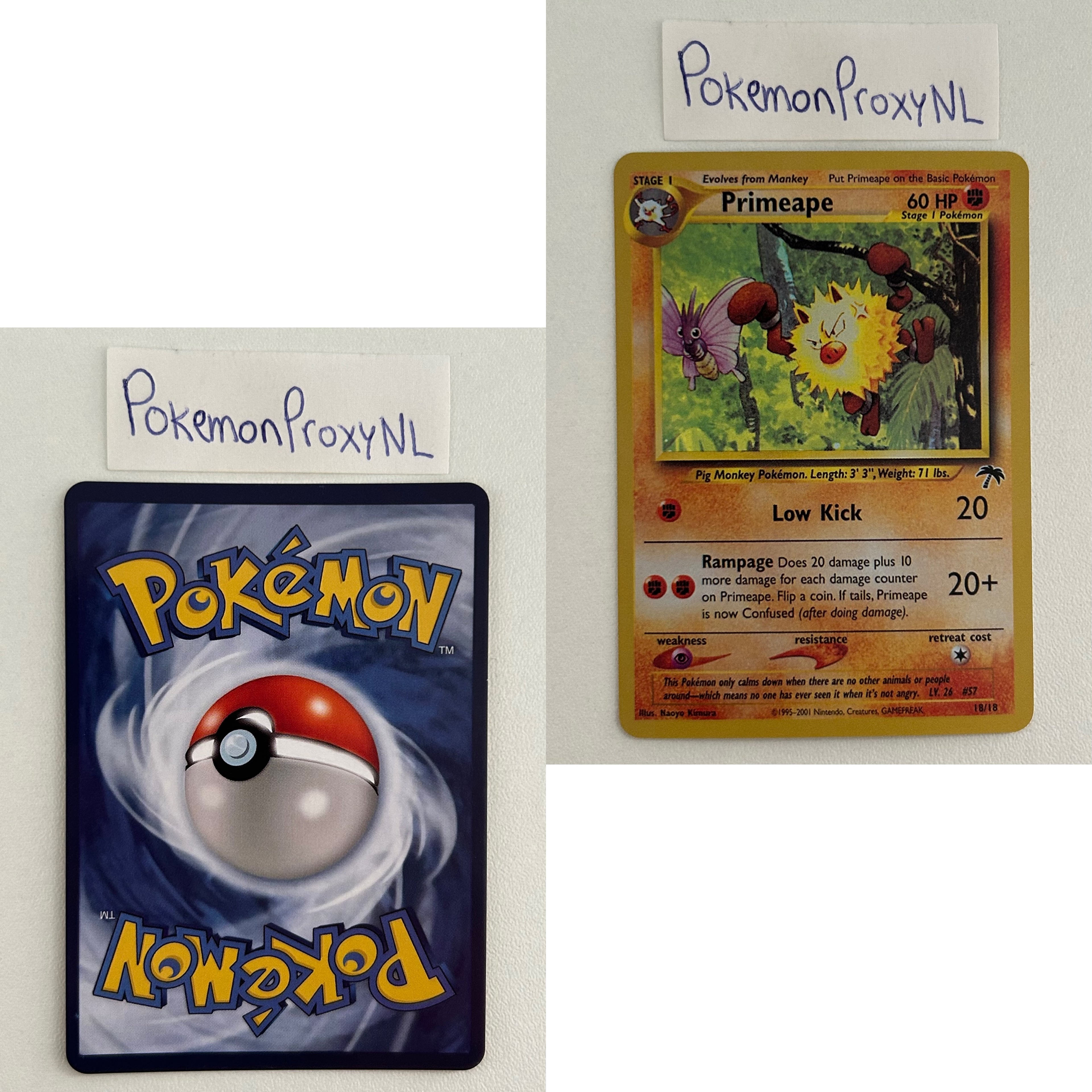 Southern Island Set (SI) / 1/18 - 18/18 / 2001 / PROXY Pokémon TCG card(s)