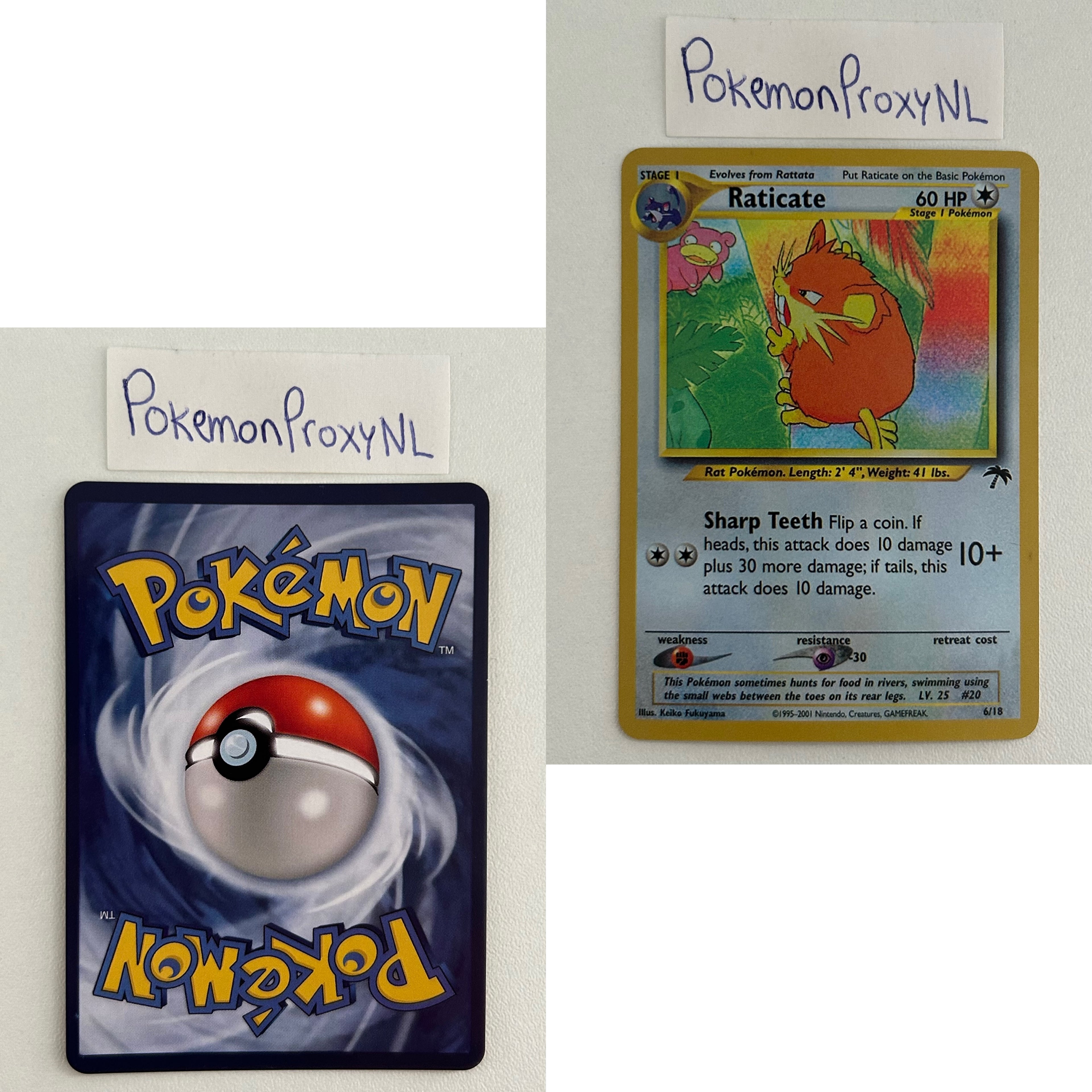 Southern Island Set (SI) / 1/18 - 18/18 / 2001 / PROXY Pokémon TCG card(s)