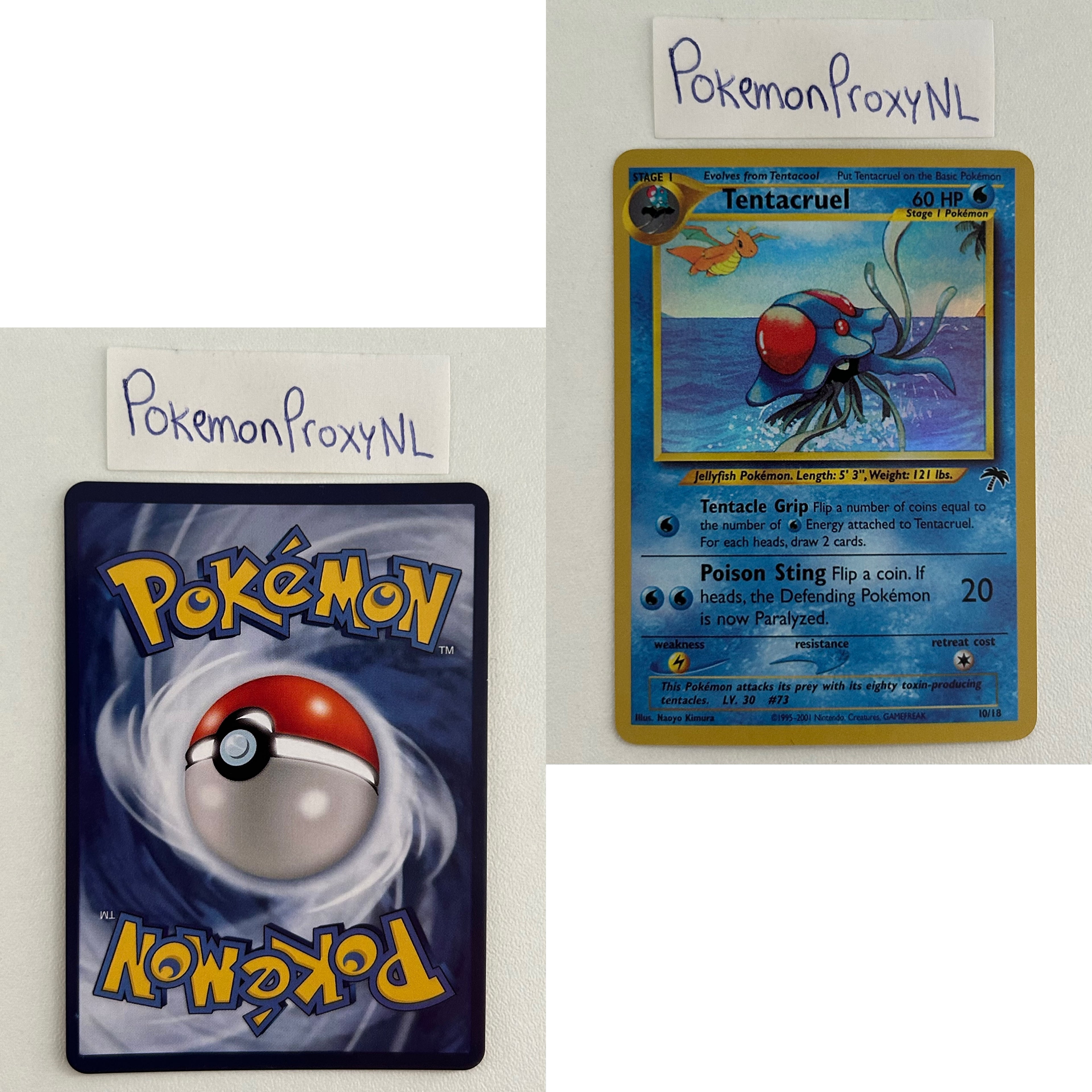 Southern Island Set (SI) / 1/18 - 18/18 / 2001 / PROXY Pokémon TCG card(s)